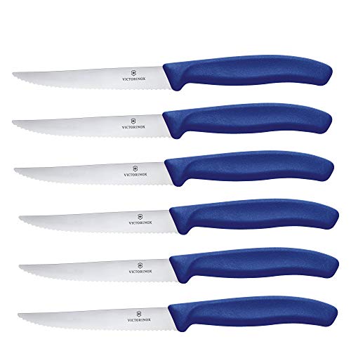 Victorinox Swiss Classic, set di 6 coltelli da bistecca con lama seghettata da 11 cm, in acciaio inox, blu